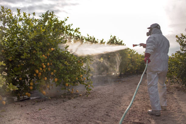 Best Pest Control Near Me  in St Stephens, NC