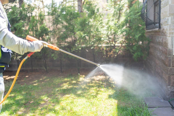 Best Bed Bug Extermination  in St Stephens, NC