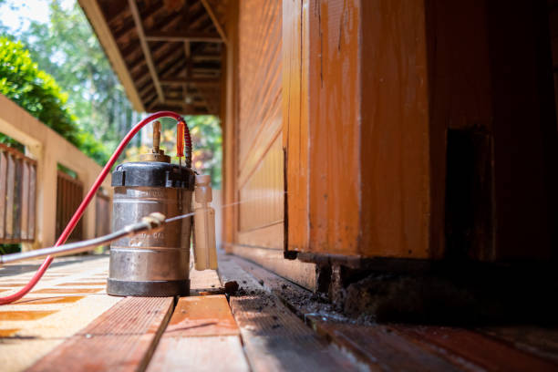 Insect Control in St Stephens, NC