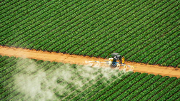 Best Best Pest Control Companies  in St Stephens, NC