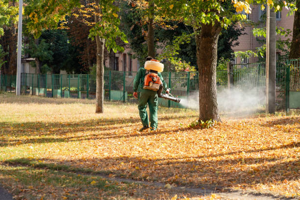 Best Best Pest Control Companies  in St Stephens, NC