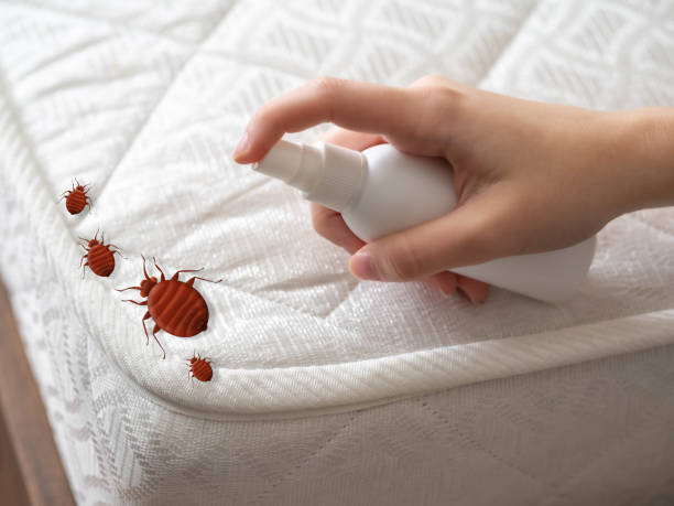 Best Pest Prevention Services  in St Stephens, NC