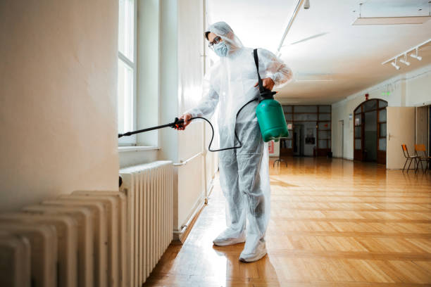 Best Wasp Removal Services  in St Stephens, NC