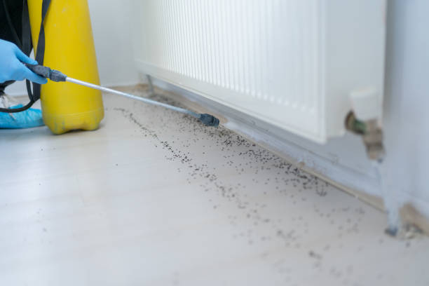 Best Bed Bug Extermination  in St Stephens, NC