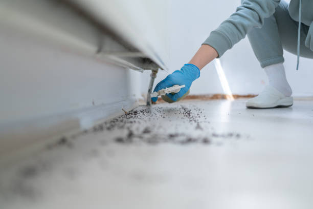 Best Emergency Pest Control  in St Stephens, NC