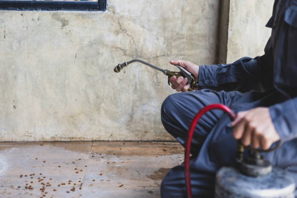 Best Residential Pest Control  in St Stephens, NC